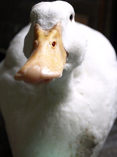 289764