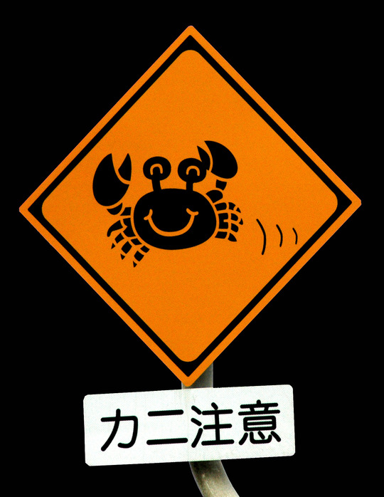 20090414221645248