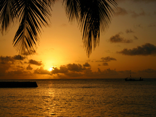 b3342c01.jpg