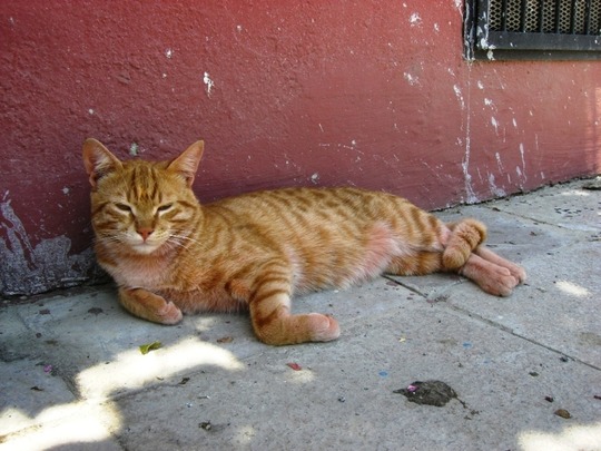 b6e7d715.jpg