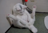b7c58787.gif