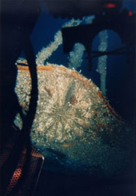 b9209281.jpg