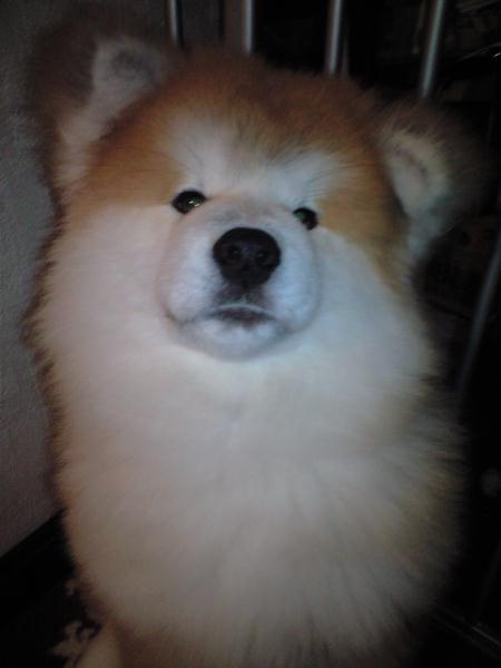 bfbaaac0.jpg