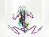 c2648aa3.gif