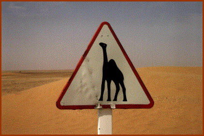 funny_road_signs_049