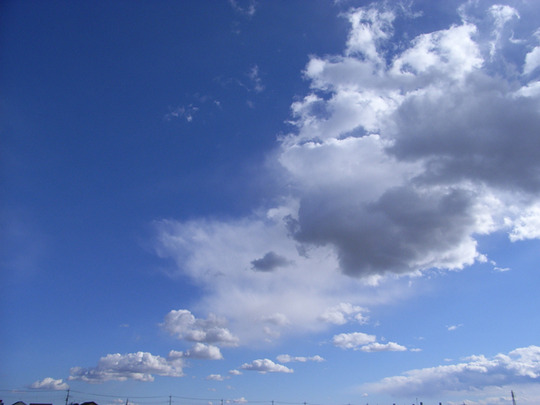 c9b2d322.jpg