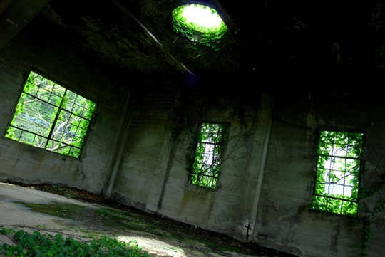 c9c984d5.jpg