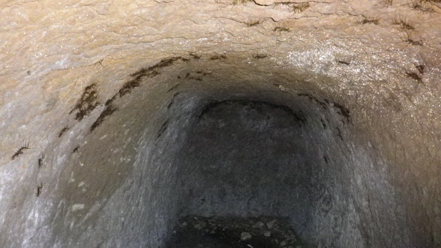 org2885791