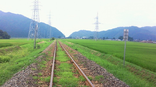 org2152350