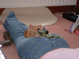 ced64304.gif