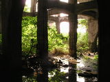 d21b6b07.jpg