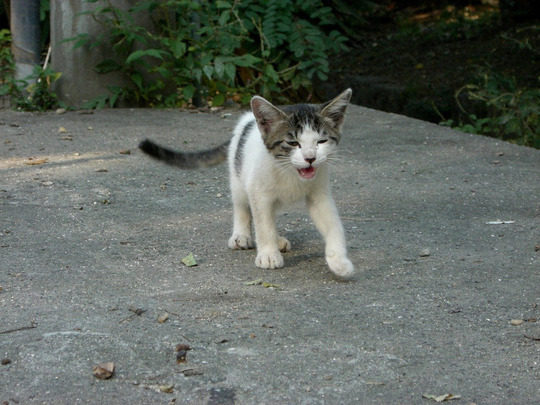d2f32255.jpg