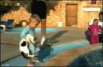 dae95585.gif