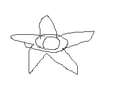 e52a9b41.jpg