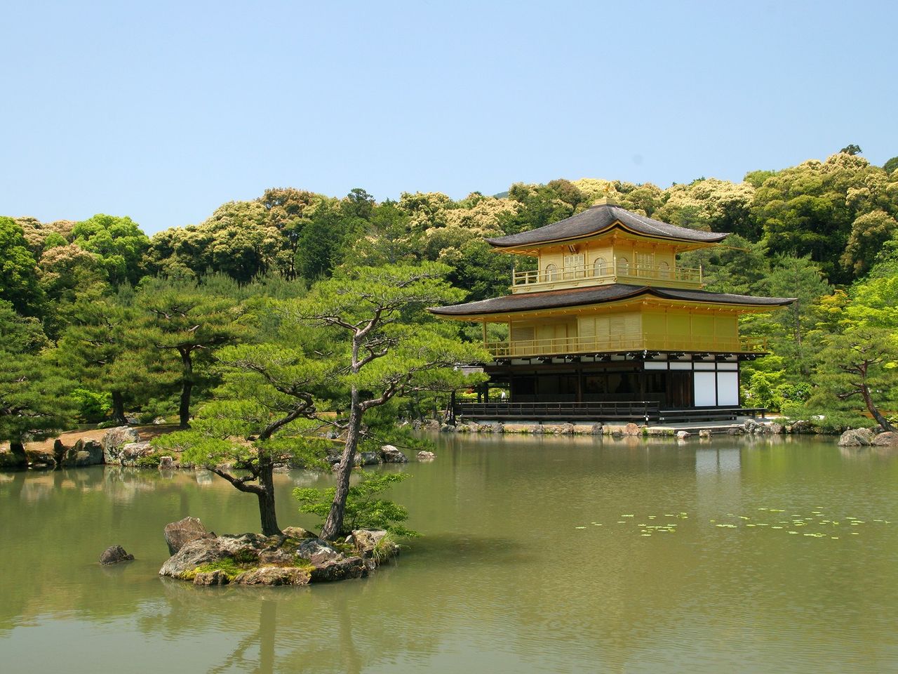 hirame132053.jpg