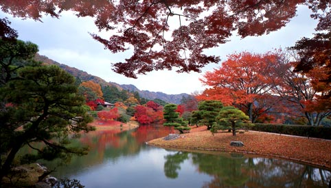 syuugakuinrikyu1