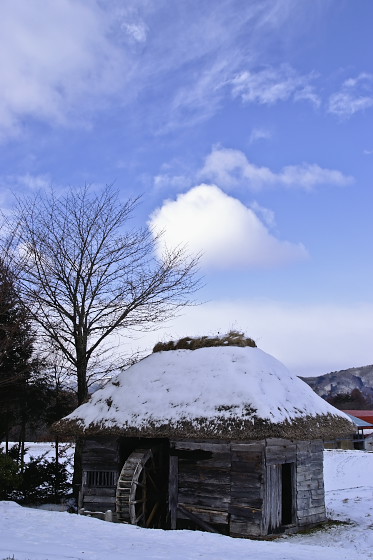fd80bbc6.jpg
