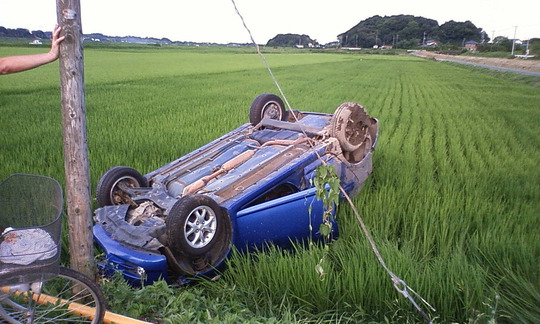 fd94fb5b.jpg
