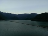 IMAG0929