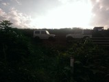 IMAG0766
