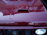 DSC06520