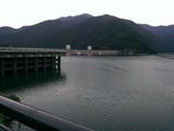 IMAG0928