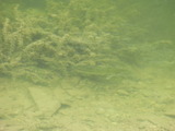 CIMG1058