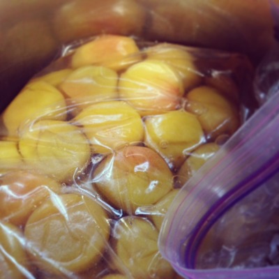 ume1
