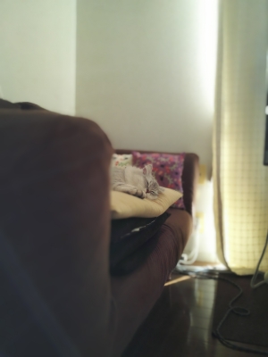 20161114_04P