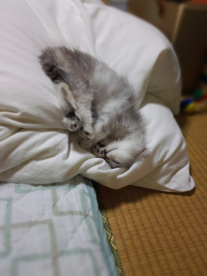 20160704_02P