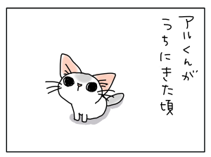 20170628_01