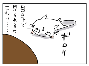 20170802_01