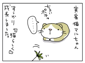 20160713_07