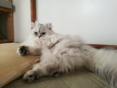 20190430_08P