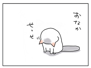 20161128_03