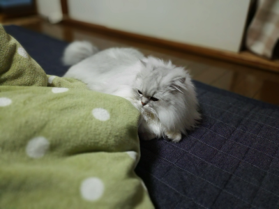 20170417_10P