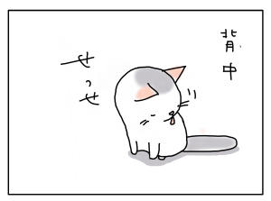 20161128_02
