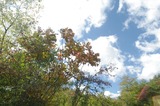 1af20703.jpg