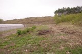 61d8db43.jpg