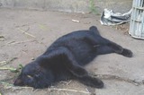 bd50cdc4.jpg