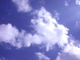 c12e25d5.jpg