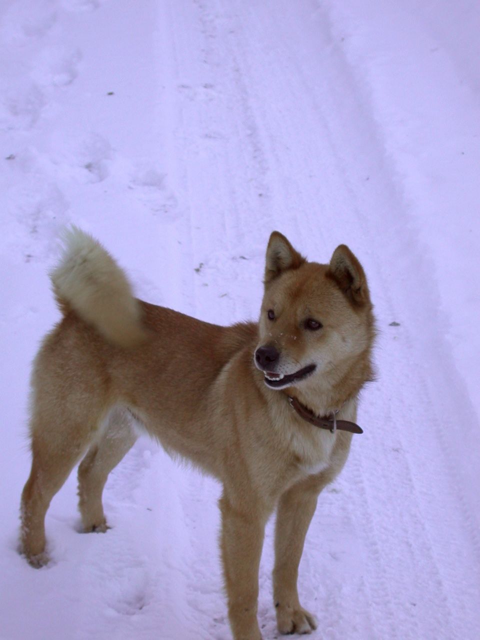 DSCN0595