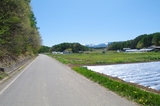 e91a5324.jpg