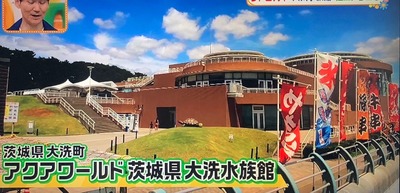 アクアワールド 茨城県大洗水族館