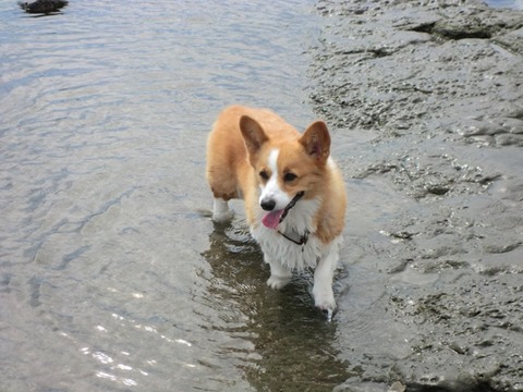 20110828_2127347