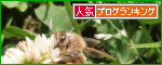 br_decobanner_20111110103724