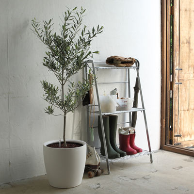 ガーデニング以外でも使えそうな折りたたみの棚 : 無印大好きムジムジくん