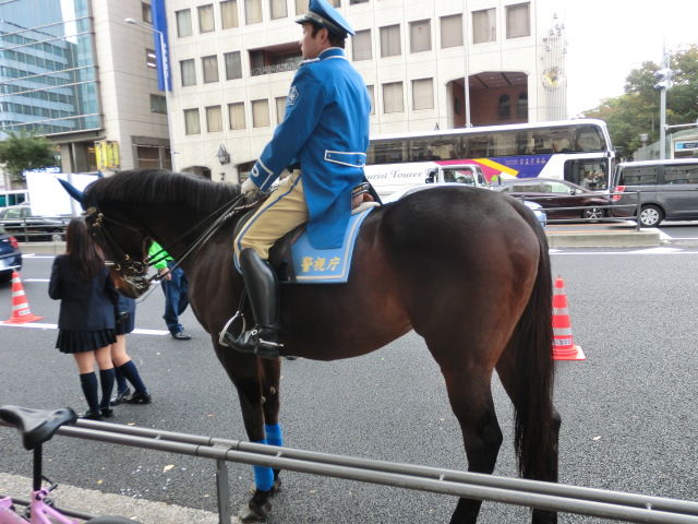 CIMG7789