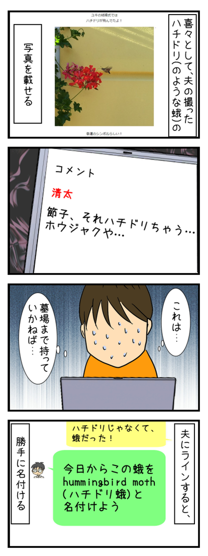 ハチドリ_003