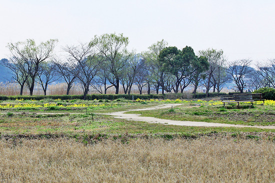 手賀沼遊歩道周辺